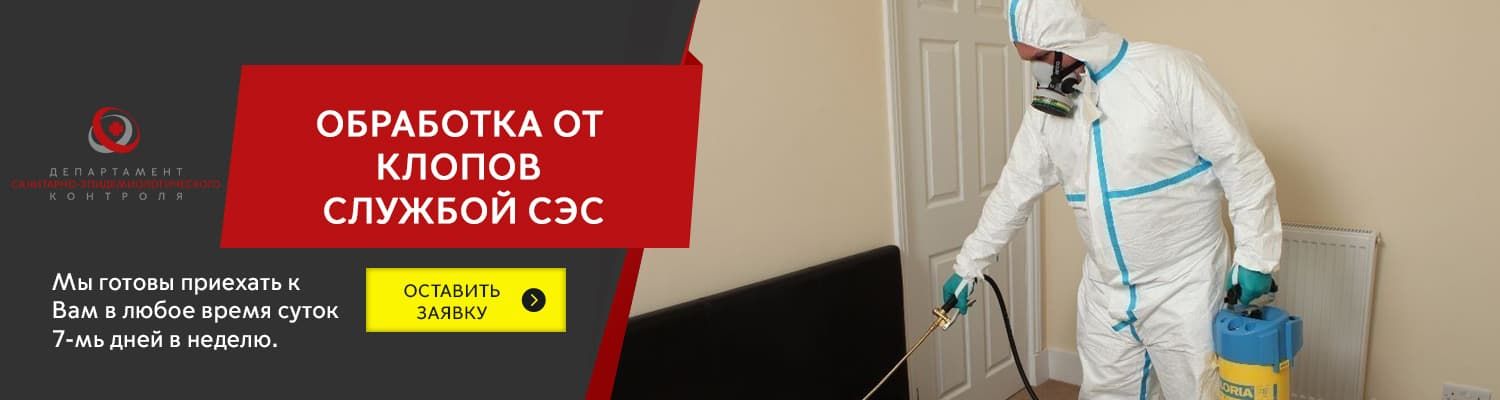 Как распознать клопов в квартире в Солнечногорске